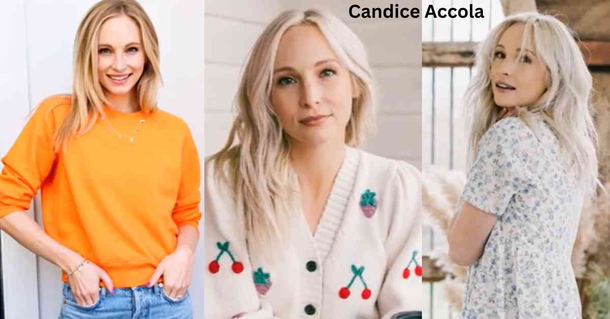 Candice Accola net worth