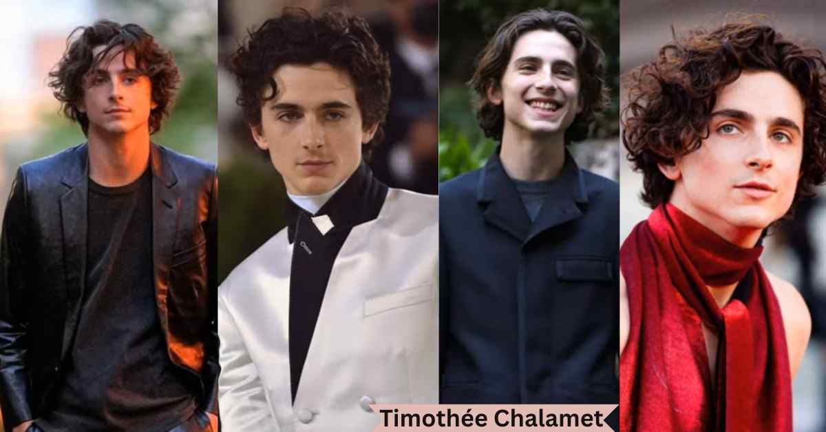 Timothée Chalamet Net Worth 2025: A Close Look At His Rising Career Life and Achievements.